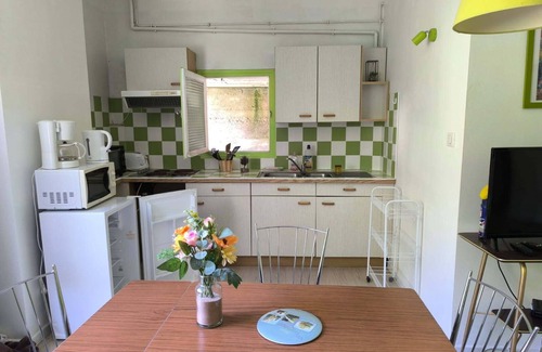 Les Bains de la Preste Appartement | Studio perched in the flora of the High Vallespir