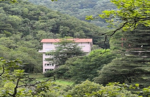Les Bains de la Preste Appartement | Studio perched in the flora of the High Vallespir