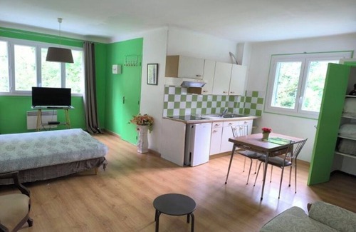 Prats-de-Mollo-la-Preste Appartement | Studio n°3