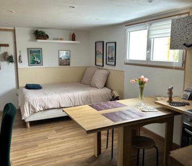 Saint-Jacques-de-la-Lande Appartement | Studio proche parc expo et aéroport