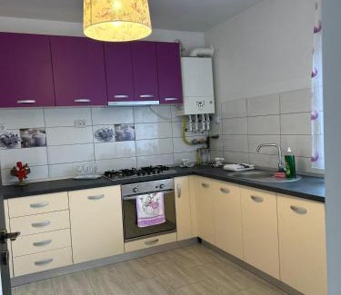 Hunedoara Appartement | studio G&A 2