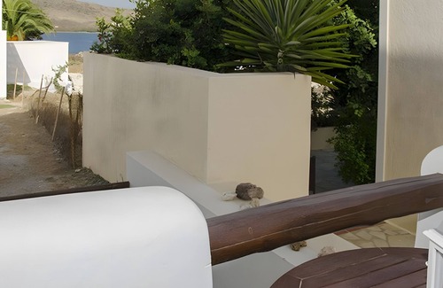 Pachena Appartement | Studio 'Galini' avec jardin partagé, Wi-Fi et climatisation