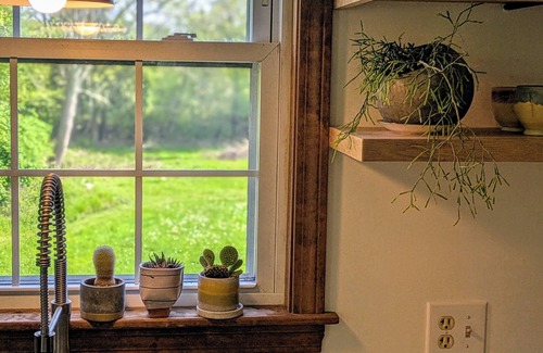Westport Appartement | Studio guesthouse on our farm in beautiful South Westport.