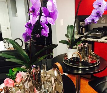 Near Northeast Appartement | Studio H St Corridor
