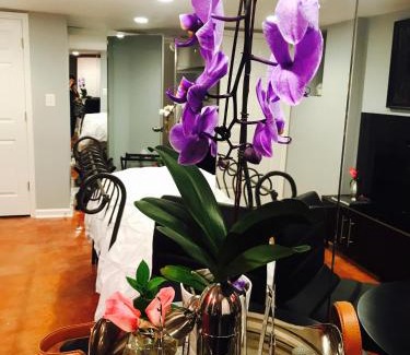 Near Northeast Appartement | Studio H St Corridor