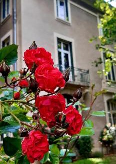 Allevard Appartement | Studio Hyper-Centre Villa Isabelle
