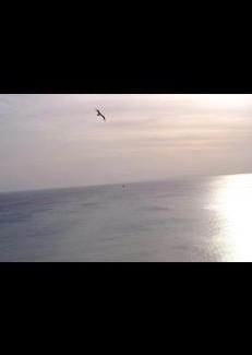 Playa de Palma Appartement | Studio in front of the sea