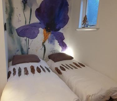 Westerbork Maison | Studio in rietgedekte boerderij, geheel privé, hond vriendelijk