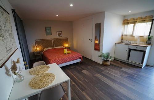 Castelnau-de-Guers Appartement | Studio indépendant a 20min des plages