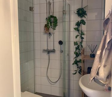 Kajaani Appartement | Studio lähellä keskustaa