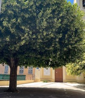 Contes Appartement | Studio - la vernea deContes, Alpes-Maritimes