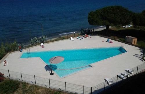 Santa-Lucia-di-Moriani Appartement | Studio les pieds dans l'eau