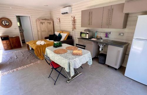 Saint-Gely-du-Fesc Appartement | studio Liberte