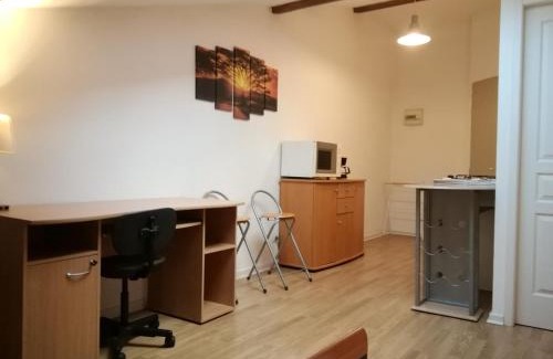 Oyonnax Appartement | Studio mansardé à Oyonnax