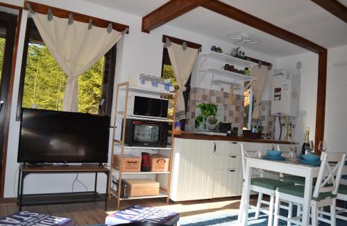Azuga Appartement | Studio Mirage@Snow Residence (ski & forest)