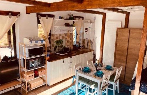 Azuga Appartement | Studio Mirage@Snow Residence (ski & forest)