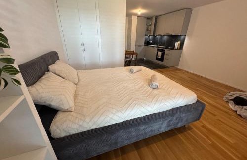 Delemont Appartement | Studio moderne avec parking