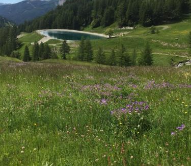 Allos Appartement | Studio montagne