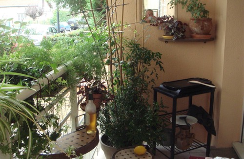 Le Busca Appartement | Studio proche centre et canal du Midi, parking privé, terrasse sur jardin