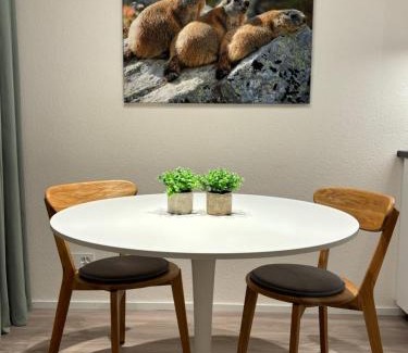 Vals Appartement | Studio neben Therme für 2 Erwachsene neu renoviert
