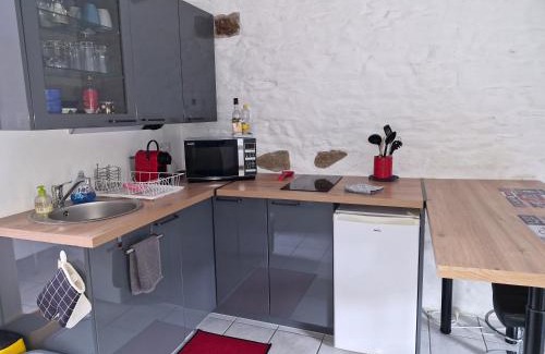 Bonnemain Appartement | STUDIO NID COSY avec piscine
