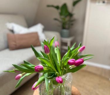 Winsum Appartement | Studio Perron 10