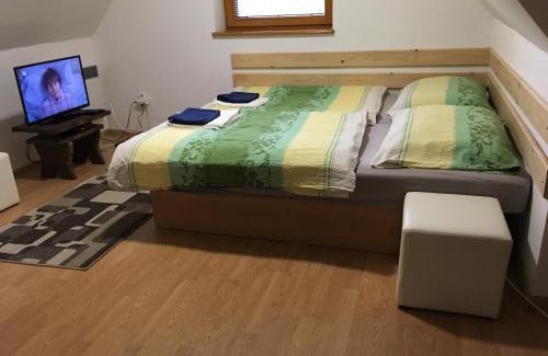 Spisske Tomasovce Appartement | Studio Pohoda Na Razcesti Cingov Slovensky Raj