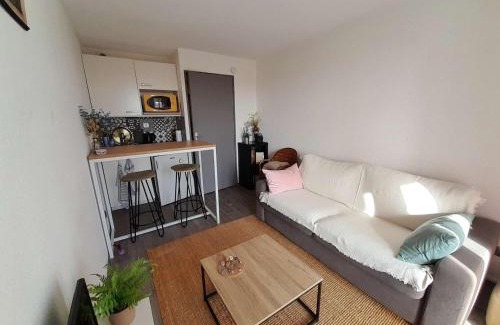 Saint-Hilaire-de-Riez Appartement | Studio proche plage avec balcon, petit garage et animaux admis - FR-1-324-561