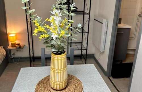 Bourg-en-Bresse Appartement | Studio proche Gare