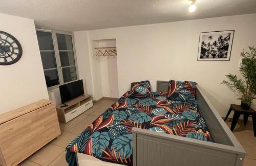 Dole Appartement | Studio rénové au calme