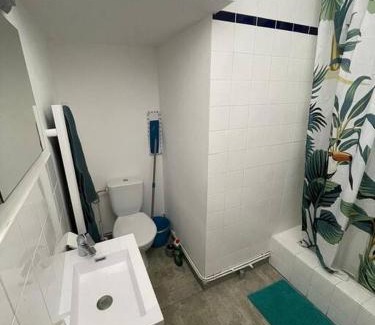 Doue-la-Fontaine Appartement | Studio RdC parking privé gratuit