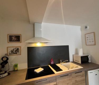 Roanne Appartement | Studio Roanne 10 min gare