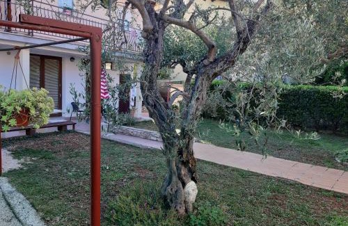 Novigrad Appartement | Studio Rocco