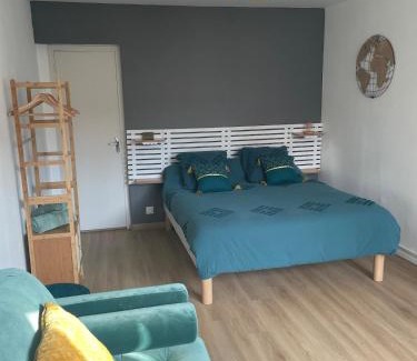 Le Boulou Appartement | Studio spacieux climatisé