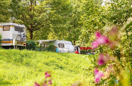 Naarn im Machlande Location De VR | Studio Standard - Camping & Pension Au an der Donau
