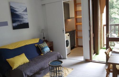 Briancon Appartement | Studio sur parc proche centre et télécabine