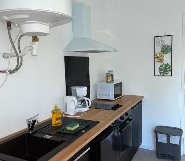 Vierzon Appartement | Studio tropical , vierzon , proche gare , tout confort