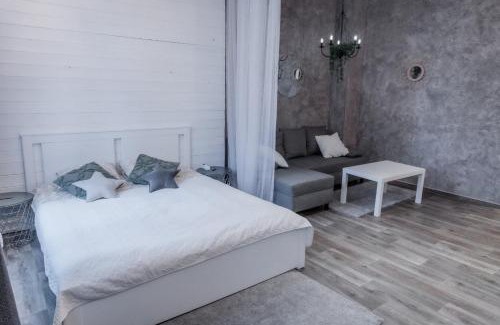 Kegums Appartement | Studio type apartment in Ķegums