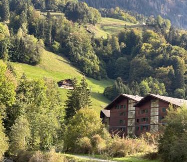 Val d'Illiez Appartement | Studio , Val-d’Illiez