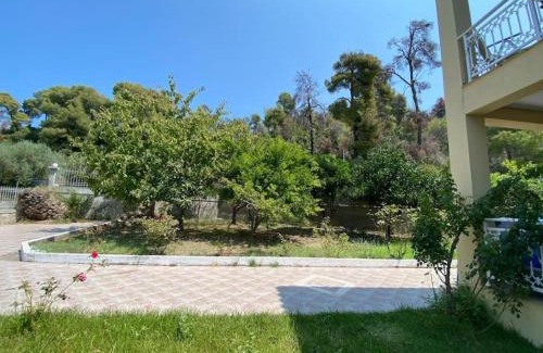 Aravissos Appartement | Studio Vasilia