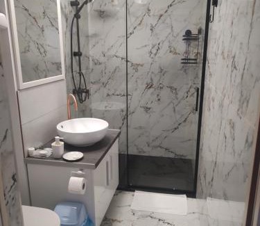 Vata de Jos Appartement | Studio Vata