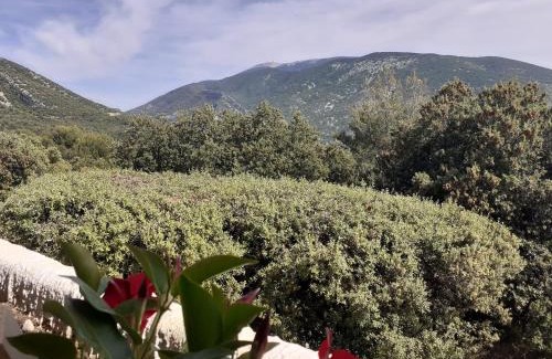 Mollans-sur-Ouveze Appartement | STUDIO VENTOUX