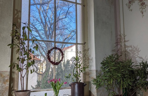 Stralsund Appartement | Studio - Villa Eisenrose