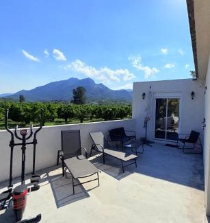Santa-Lucia-di-Moriani Appartement | Studio vue sur les clémentiniers
