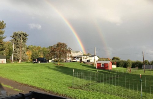Sodus Appartement | Studio w/kitchen on Alpaca farm Sodus Bay, Wine trails & Brantling ski slope