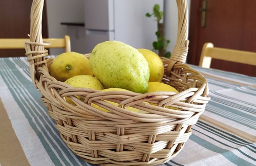 Vila Real Appartement | Studio with 2 bedrooms in the Douro region!