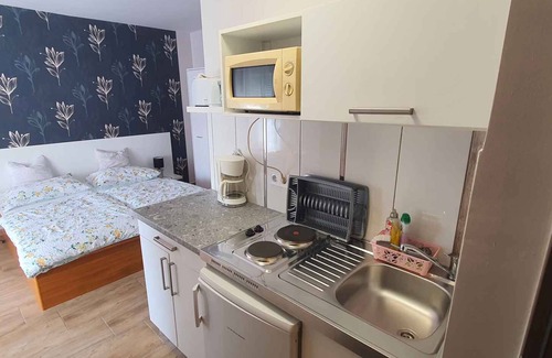 Heviz Appartement | Studio with air conditioning and internet near the city center