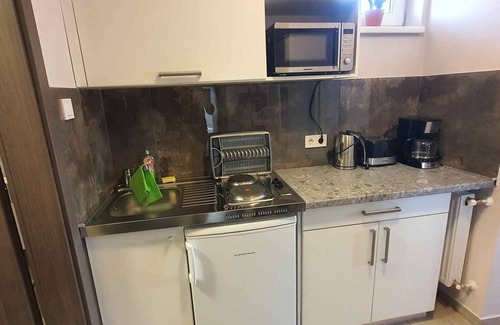 Heviz Appartement | Studio with air conditioning and internet near the city center