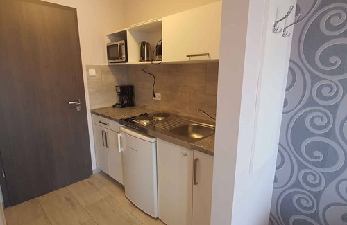 Heviz Appartement | Studio with air conditioning and internet near the city center