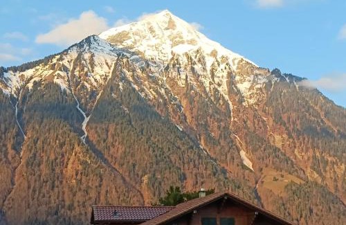 Aeschi bei Spiez Appartement | Studio with balcony, Niesen view & free parking near Interlaken, Thunersee & Blausee